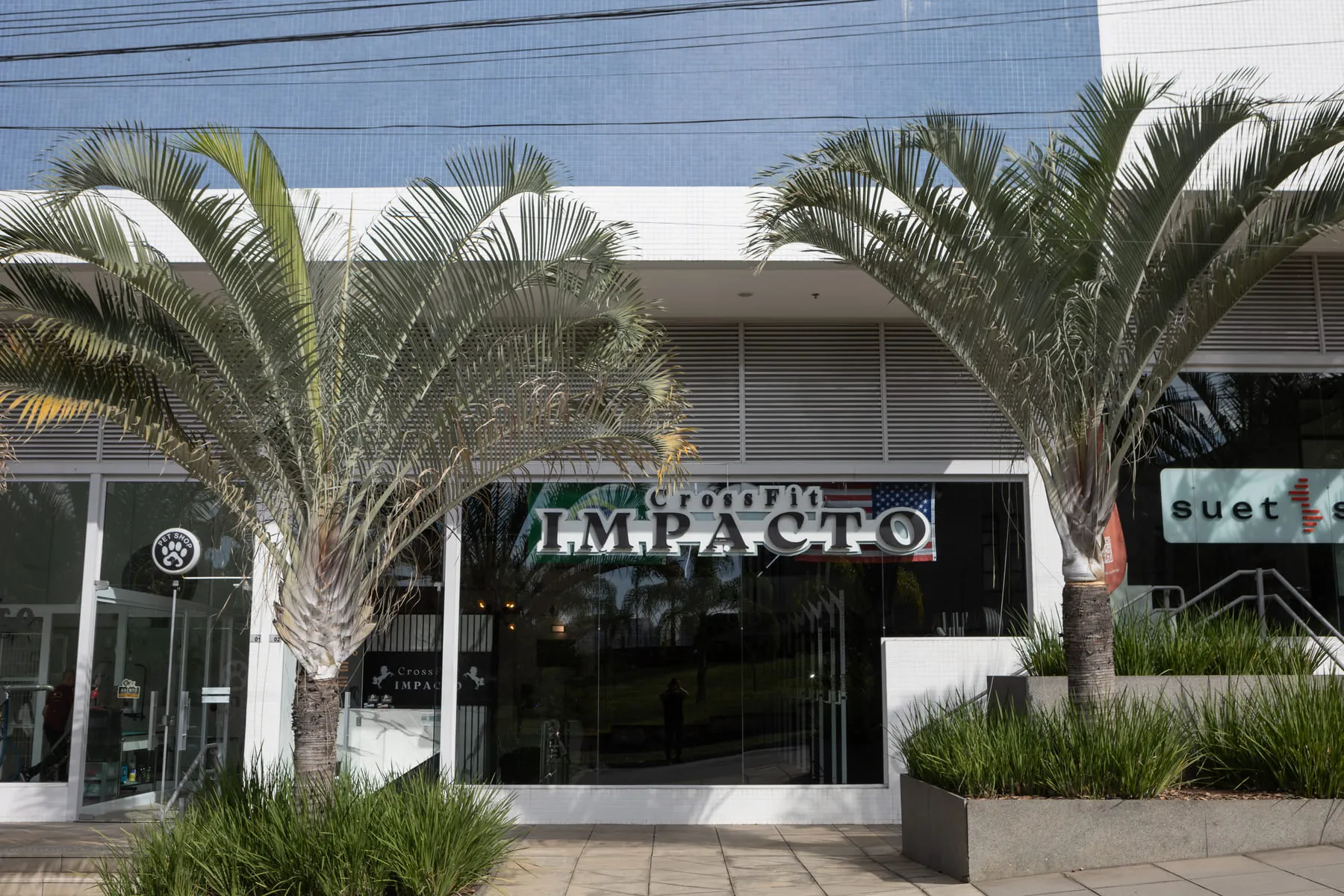 A fachada do CrossFit Impacto vista da calçada, entre as duas palmeiras.